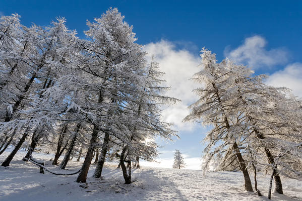 Orsiera Rocciavre Park, Chisone Valley, Turin,Piedmont, Italy. Winter Orsiera Rocciavre Park