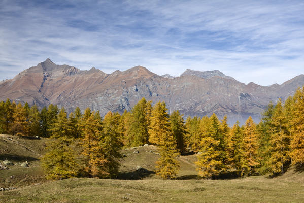 Orsiera Rocciavre Park, Susa Valley, Piedmont, Italy. 