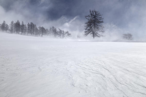 Orsiera Rocciavre Park, Chisone Valley,Turin, Piedmont, Italy. Winter Orsiera Rocciavre Park 
