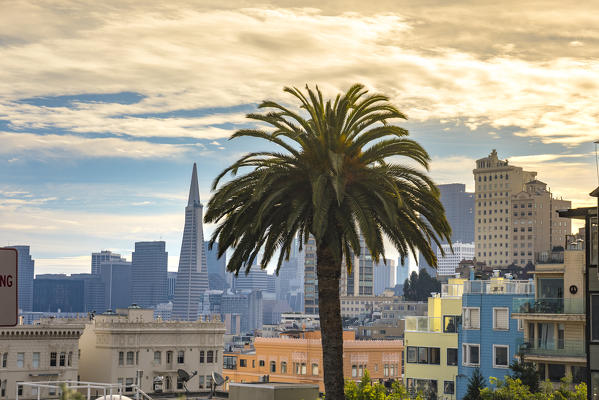 Financial district from Lombard street, San Francisco, California, United States Of America