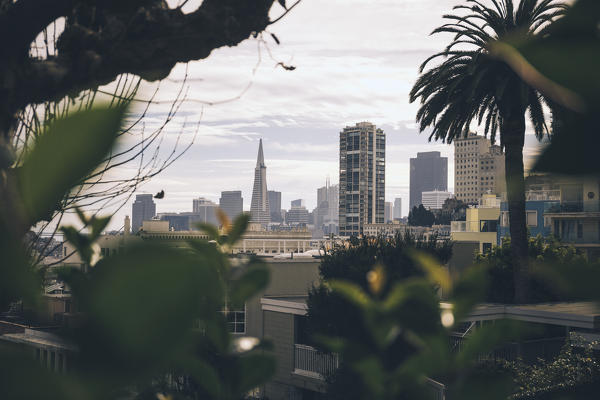 Financial district from Lombard street, San Francisco, California, United States Of America
