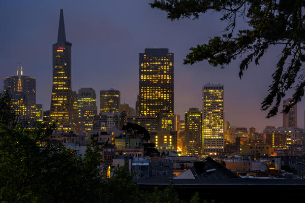 Financial district at evening from the Coit Tower, San Francisco, California, United States Of America