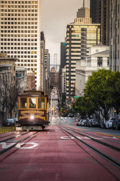 A cable car on California street, with financial district on the background, San Francisco, California, United States Of America