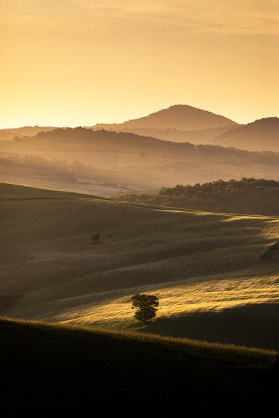 Early morning between Val d'Orcia Hills. Pienza, Val d'Orcia, Tuscany, Italy.