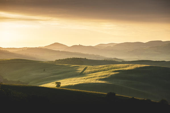 Early morning between Val d'Orcia Hills. Pienza, Val d'Orcia, Siena Province, Tuscany, Italy.