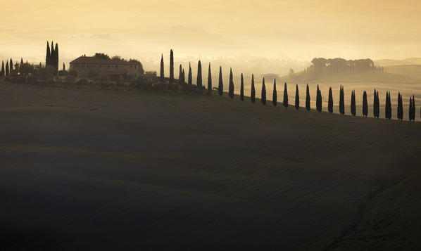 Early morning between Val d'Orcia Hills. Pienza, Val d'Orcia, Siena Province, Tuscany, Italy.