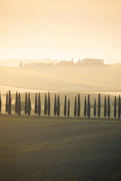 Early morning between Val d'Orcia Hills. Pienza, Val d'Orcia, Siena Province, Tuscany, Italy.