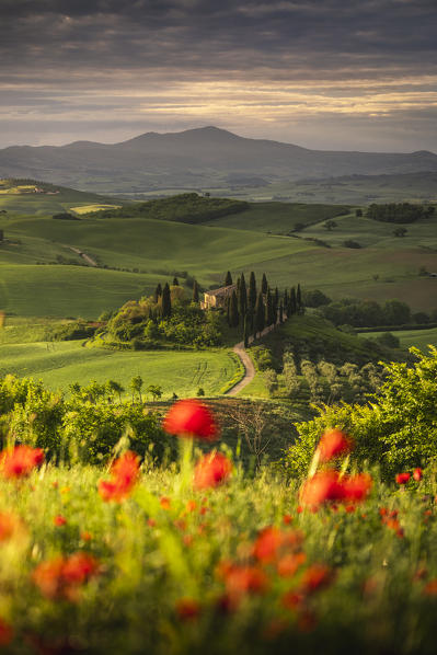 A farmhouse in the  morning between Val d'Orcia Hills. San Quirico d'Orcia, Val d'Orcia, Siena Province, Tuscany, Italy.