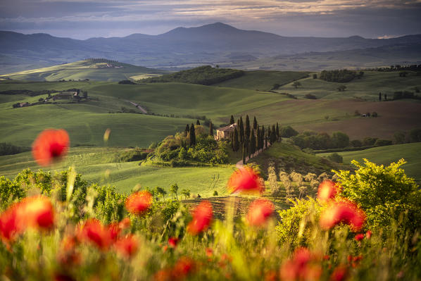 A farmhouse in the  morning between Val d'Orcia Hills. San Quirico d'Orcia, Val d'Orcia, Siena Province, Tuscany, Italy.