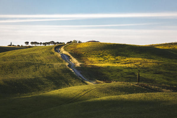 Countryside with hills and trees between Pienza and San Quirico d'Orcia; Val d'Orcia, Siena Province, Tuscany, Italy