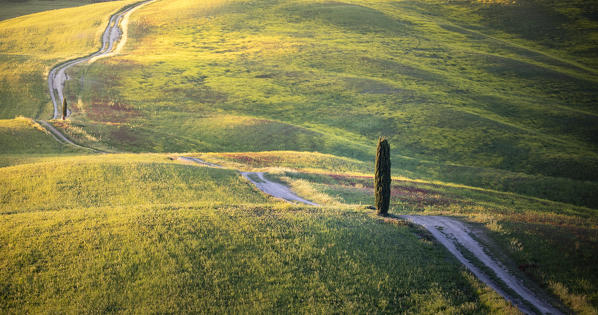 Countryside with hills and trees between Pienza and San Quirico d'Orcia; Val d'Orcia, Siena Province, Tuscany, Italy