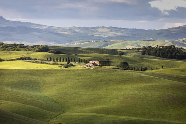 Countryside with hills and trees between Pienza and San Quirico d'Orcia; Val d'Orcia, Siena Province, Tuscany, Italy