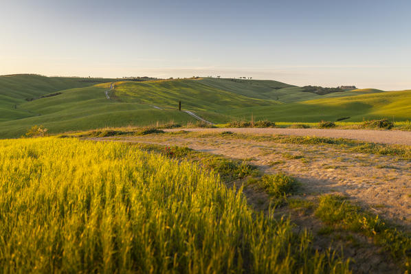 Countryside near Pienza and San Quirico d'Orcia during springtime; Val d'Orcia, Tuscany, Italy.