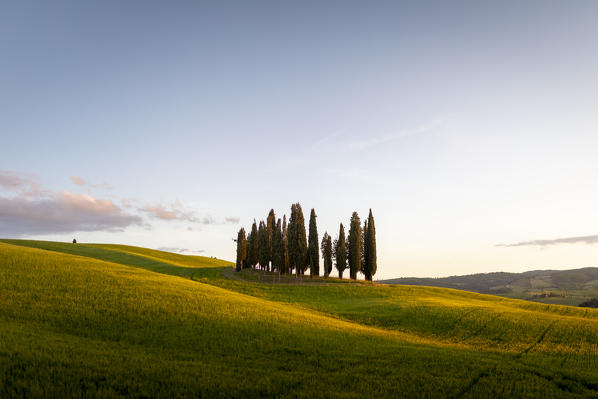 Countryside near Pienza and San Quirico d'Orcia during springtime; Val d'Orcia, Tuscany, Italy.