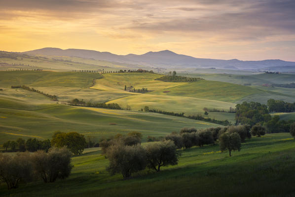 Countryside near Pienza and San Quirico d'Orcia during springtime; Val d'Orcia, Tuscany, Italy.