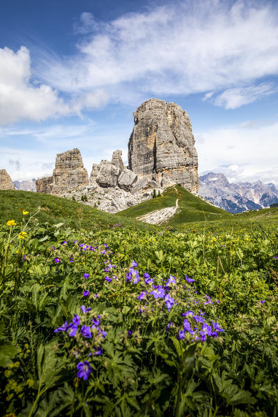 Cinque Torri natural Park, Cortina d'Ampezzo, Belluno province, Dolomites, Veneto, Italy