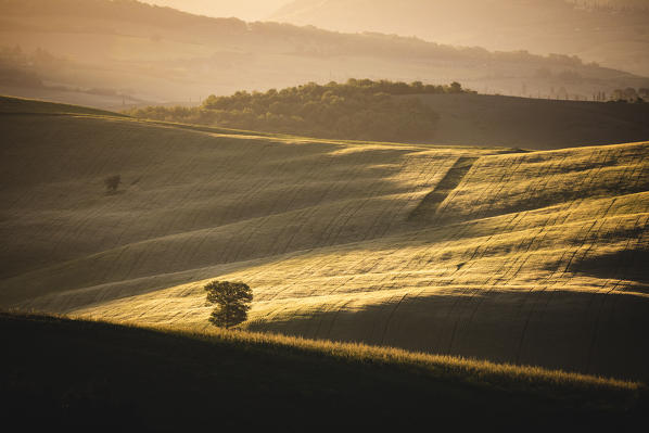 San Quirico d'Orcia, Val d'Orcia, Siena province, Tuscany, Italy.