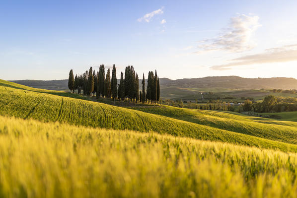 San Quirico d'Orcia, Val d'Orcia, Siena province, Tuscany, Italy.