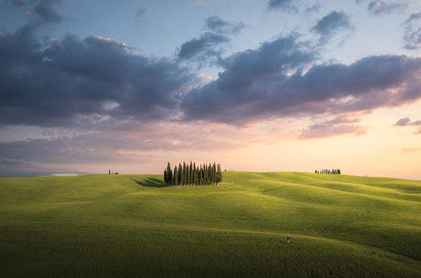 San Quirico d'Orcia cypresses during sunset. San Quirico d'Orcia, Orcia Valley, Tuscany, Italy