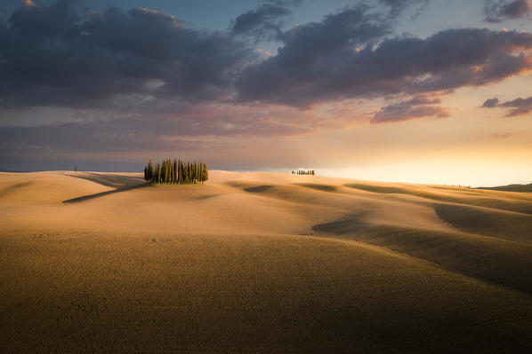 San Quirico d'Orcia cypresses during sunset. San Quirico d'Orcia, Orcia Valley, Tuscany, Italy