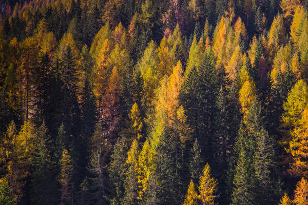 Funes Valley, Trentino Alto Adige, Italy.