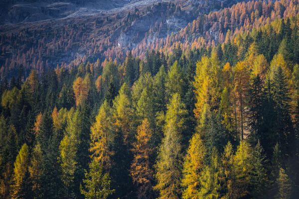 Funes Valley, Trentino Alto Adige, Italy.