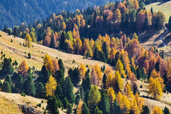 Funes Valley, Trentino Alto Adige, Italy.