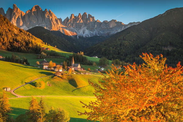 Funes Valley, Trentino Alto Adige, Italy. Santa Maddalena village surrounded by hills, with the odle on the background and a colorful trees on the foreground.