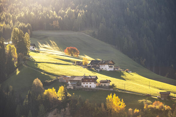View of Santa Magdalena village,  Funes Valley, South Tyrol, Italy