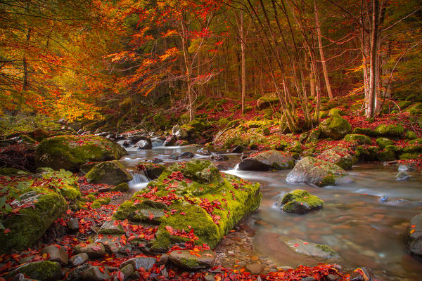 Bologna, Emilia Romagna, Italy. Dardagna river during a very colorful autumn