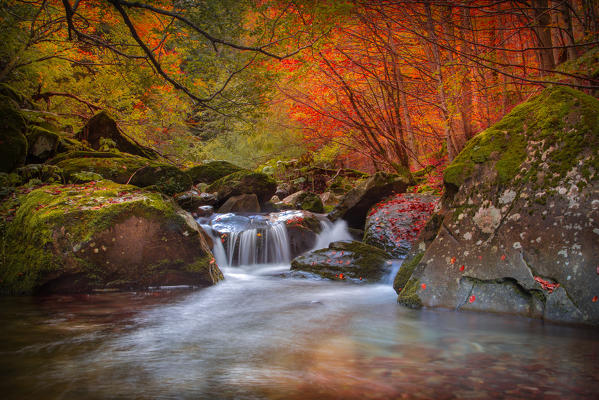 Bologna, Emilia Romagna, Italy. Dardagna river during a very colorful autumn