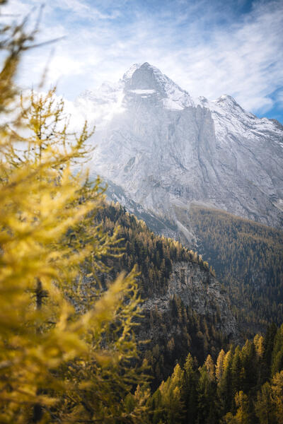 Marmolada view with yellow larches on the foreground, South Tyrol, Italy