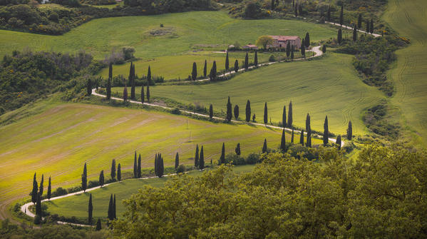 Monticchiello, Tuscany, Italy. Path, cypresses and hills, during a warm sunrise.