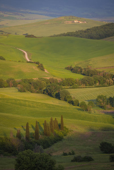 San Quirico d'Orcia, Tuscany, Italy. Path, cypresses and hills, during a warm sunrise.
