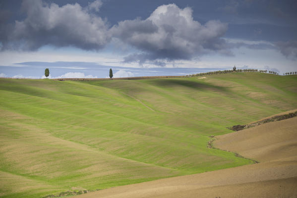 San Quirico d'Orcia, Tuscany, Italy. Cypresses and hills, during a cloudy day.