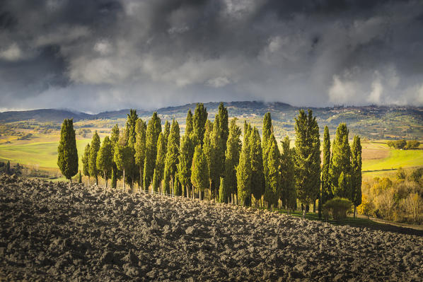 San Quirico d'Orcia, Tuscany, Italy. Cypresses and hills, during a cloudy day.