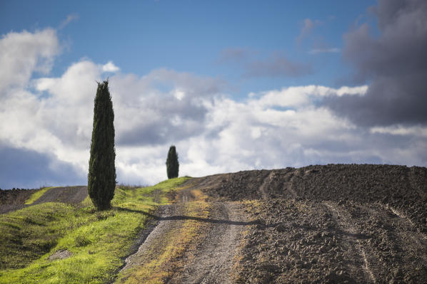 San Quirico d'Orcia, Tuscany, Italy. Cypresses and hills, during a sunny day.