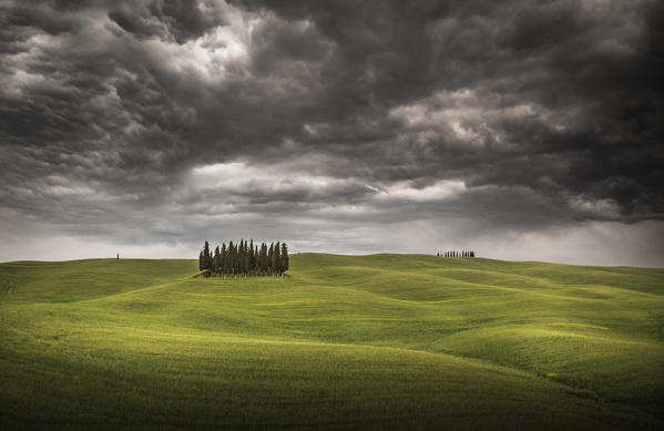 Cypresses, San Quirico d'Orcia, Tuscany, Italy. Stormy weather.