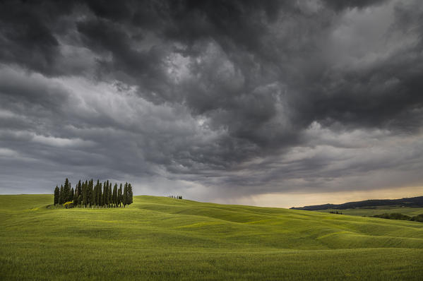 San Quirico d'Orcia, Tuscany, Italy. Cypresses and stormy sky.