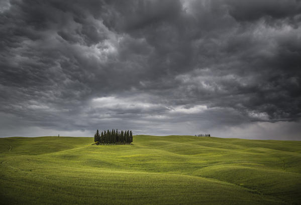 San Quirico d'Orcia, Tuscany, Italy. Cypresses under a stormy sky.