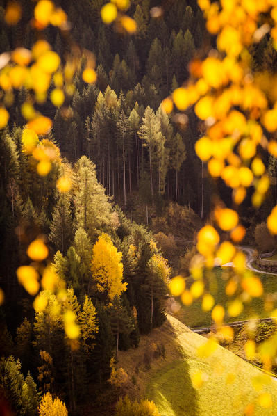 Val di Funes, Trentino Alto Adige, Italy