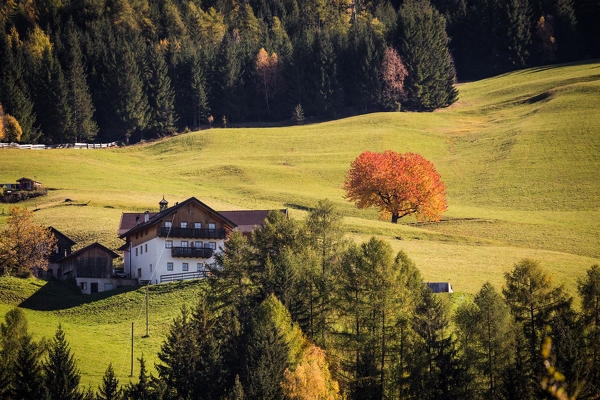 Val di Funes, Trentino Alto Adige, Italy