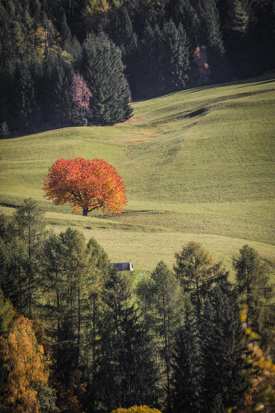 Val di Funes, Trentino Alto Adige, Italy