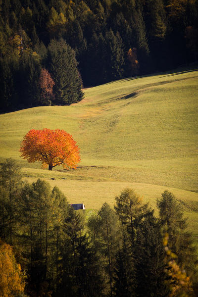 Val di Funes, Trentino Alto Adige, Italy