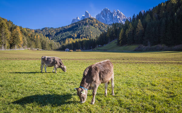 Val di Funes, Trentino Alto Adige, Italy