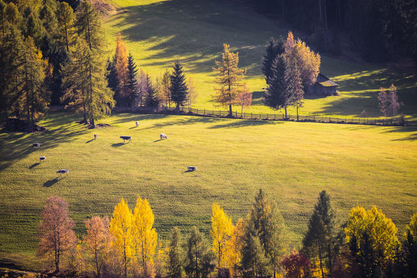 Val di Funes, Trentino Alto Adige, Italy