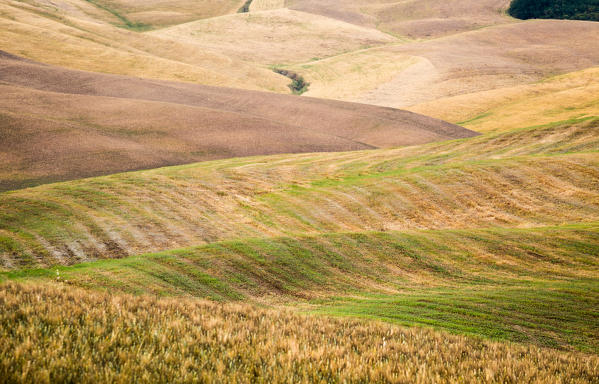 Val d'Orcia, Tuscany, Italy