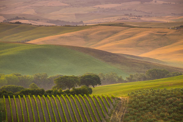 Val d'Orcia, Tuscany, Italy