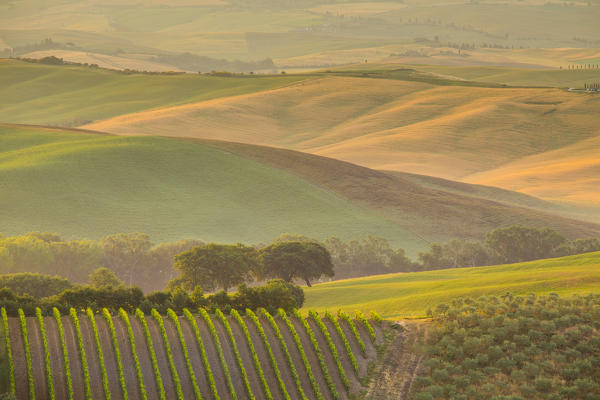 Val d'Orcia, Tuscany, Italy