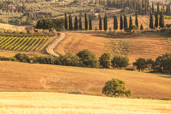 Val d'Orcia, Tuscany, Italy